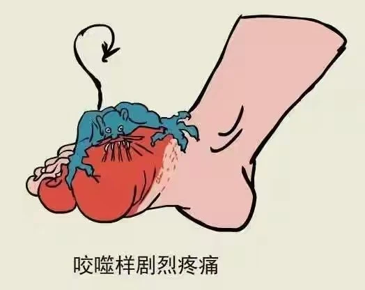 儿童高尿酸科普